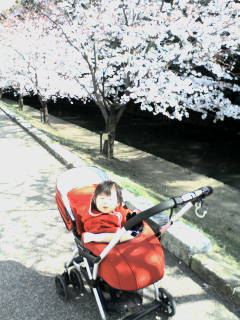 20090403171904