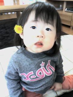 20090409010707